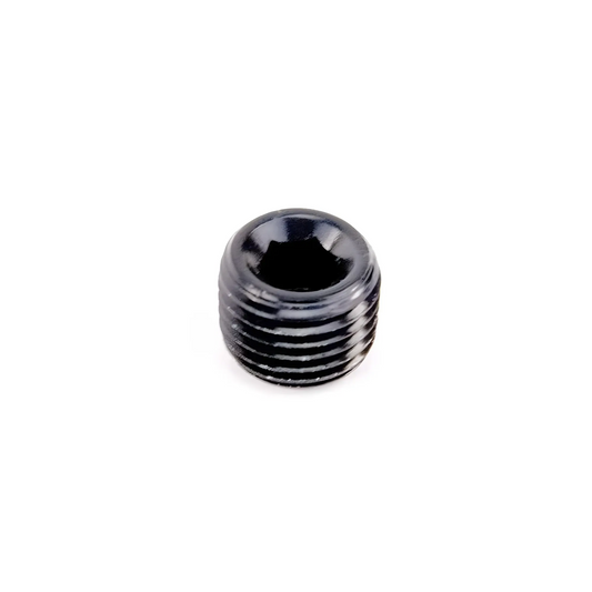 1/4" NPT Hex Plug